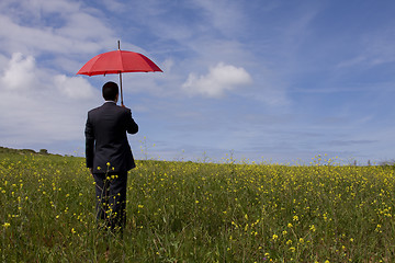 Image showing The insurance man