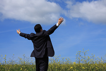 Image showing Businessman outstretched on a field