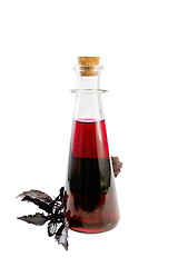 Image showing Vinegar with purple basil in bottle