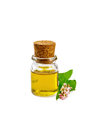 Image showing Oil buckwheat in vial with flower