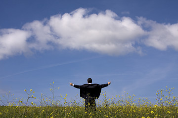 Image showing Businessman outstretched on a field