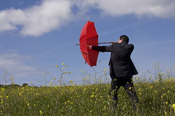 Image showing The insurance man