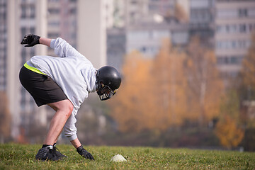 Image showing american football player in action