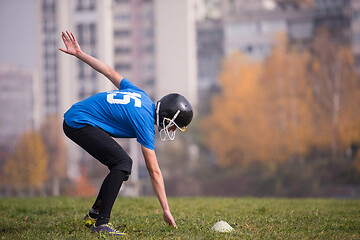 Image showing american football player in action