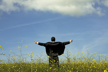 Image showing Businessman outstretched on a field