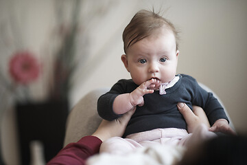 Image showing mother is playing with baby at home