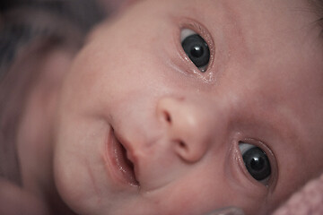 Image showing One month newborn baby sleeping in bed