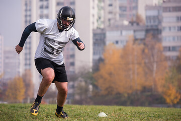 Image showing american football player in action