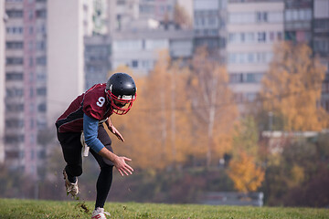 Image showing american football player in action