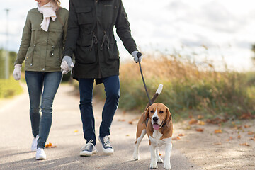 Image showing family walking with dog in autumn