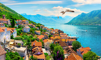 Image showing Perast from above