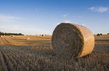 Image showing Field and straw bales