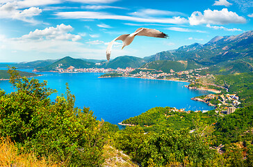 Image showing Budva riviera in Montenegro