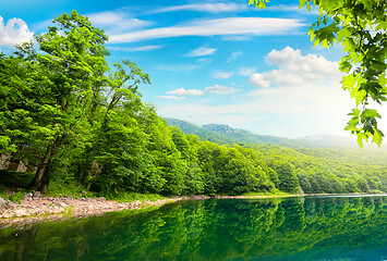 Image showing Biogradsko lake in Montenegro