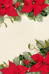 Image showing Thanksgiving and Christmas Poinsettia Flower Border