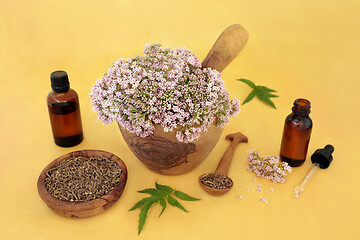 Image showing Valerian Herb Root and Flowers