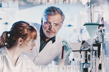 Image showing Health care researchers working in scientific laboratory.