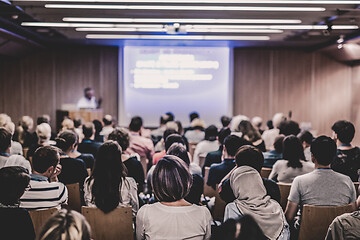 Image showing Business speaker giving a talk at business conference event.