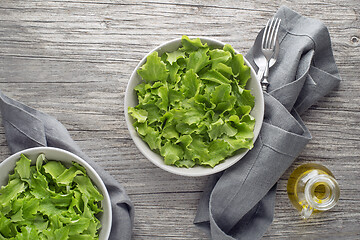 Image showing Green lettuce salad 