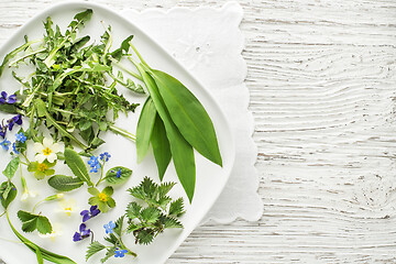 Image showing Spring plants food