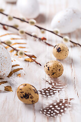 Image showing Easter eggs with feathers and pussy willow branch. Easter decoration