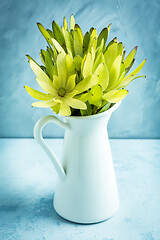 Image showing Bunch of yellow Leucadendron Strobilinum flower in vase in vintage style