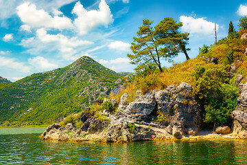 Image showing Skadar lake and nature