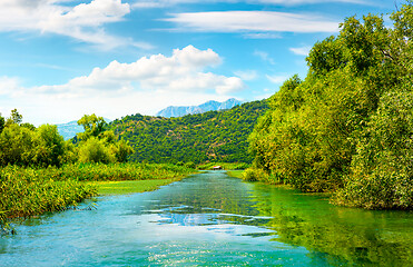 Image showing Rijeka Crnojevica in summer