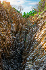 Image showing icturesque mountain landscape