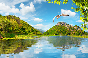 Image showing Skadar lake and mountains