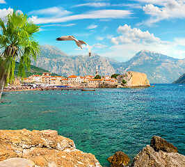 Image showing Old city Budva on adriatic sea