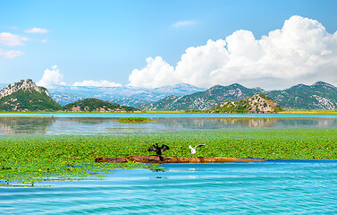 Image showing Mountains and Skadar lake