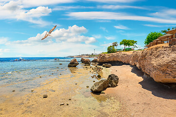 Image showing Rocky coast by sea