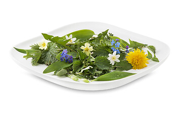 Image showing Spring plants food