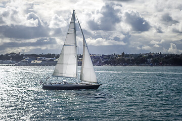 Image showing Sailing ship in Auckland, New Zealand