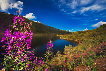 Image showing Lake in the Altai Mountains