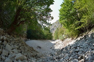 Image showing wild river dried riverbed