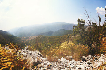 Image showing summer landscape