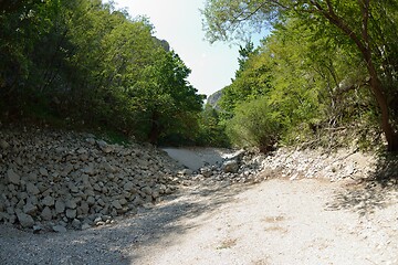 Image showing wild river dried riverbed