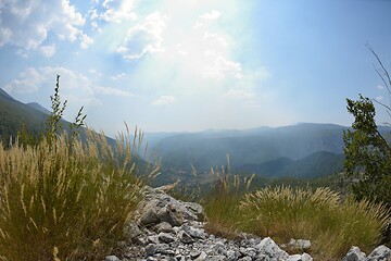 Image showing summer landscape