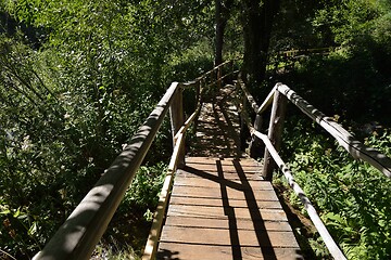 Image showing wooden bridge over wild river