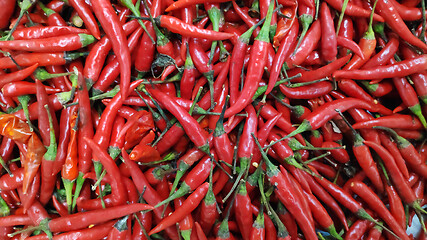 Image showing Red hot chilli peppers