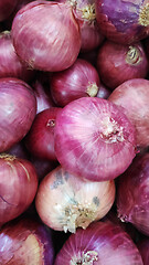 Image showing Fresh organic red onions