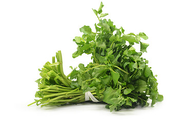 Image showing Freshly picked organic watercress