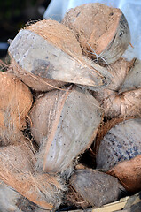 Image showing Old coconuts on the market