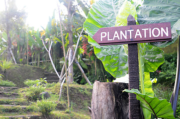 Image showing Wooden direction signpost with plantation word