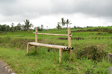 Image showing Jatiluwih rice terrace in Ubud, Bali