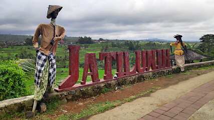 Image showing Jatiluwih rice terrace with sunny day in Ubud, Bali