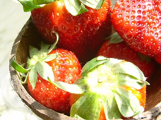 Image showing strawberry