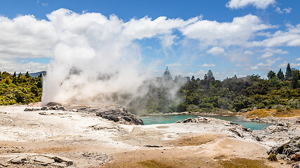 Image showing Geyser in New Zealand Rotorua